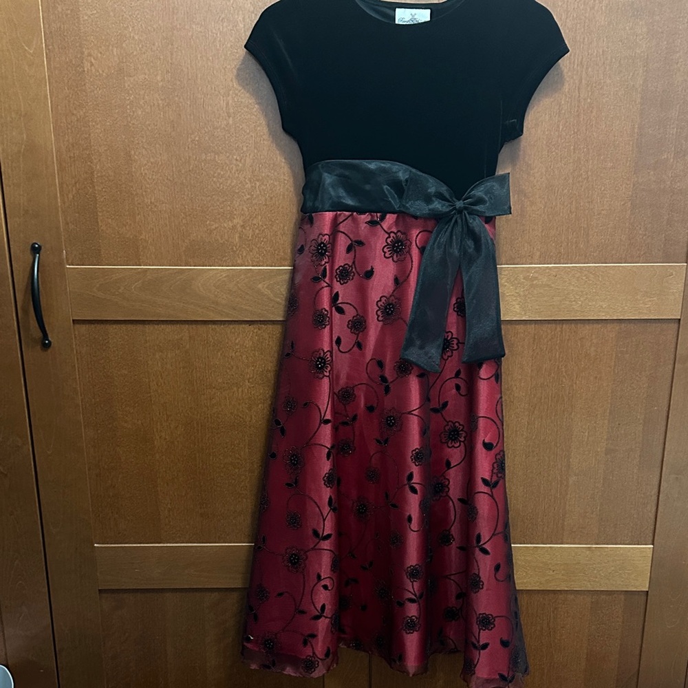 Rare Editions Black Velvet and Red Floral Kids Dress